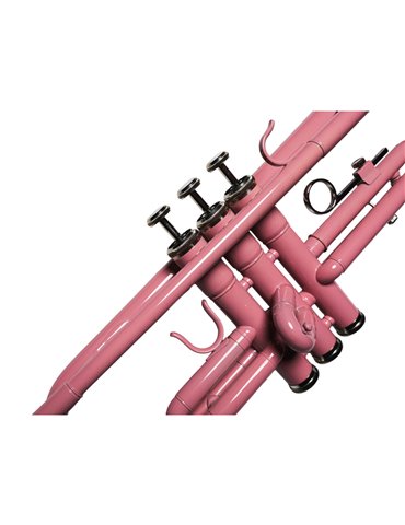 Trompeta Taylor Collins TCTR-09 PK Rosa 2