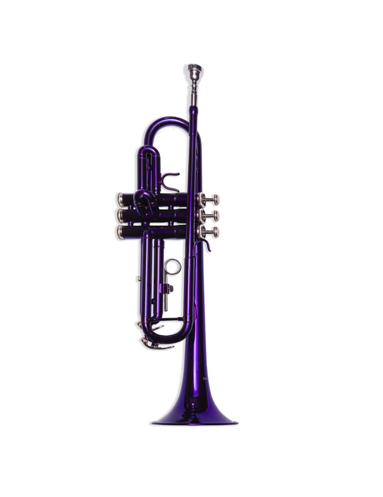 Trompeta Taylor Collins TCTR-09 PR Púrpura