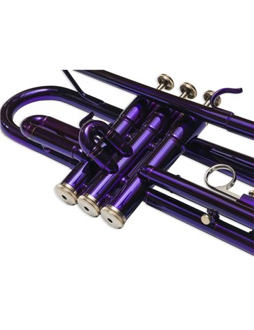 Trompeta Taylor Collins TCTR-09 PR Púrpura 2