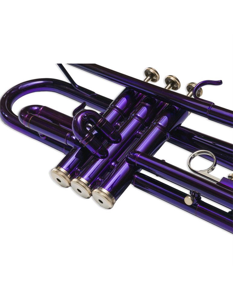 Trompeta Taylor Collins TCTR-09 PR Púrpura