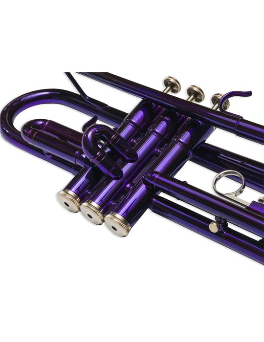 Trompeta Taylor Collins TCTR-09 PR Púrpura