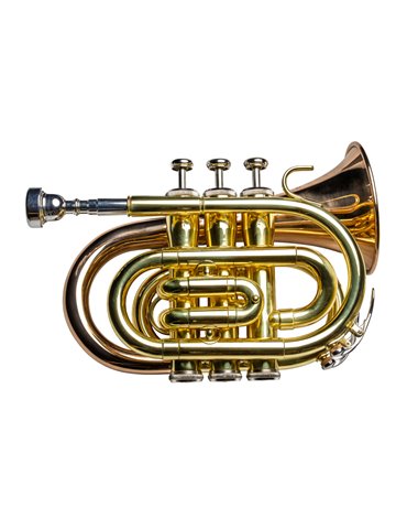Trompeta  Pocket Taylor Collins TCPTR-36 Lacada/Oro rosa