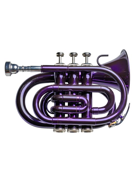 Trompeta  Pocket Taylor Collins TCPTR-13 PR Púrpura en Sib