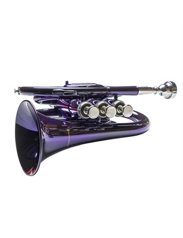 Trompeta  Pocket Taylor Collins TCPTR-13 PR Púrpura en Sib