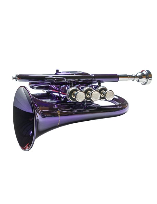 Trompeta  Pocket Taylor Collins TCPTR-13 PR Púrpura en Sib