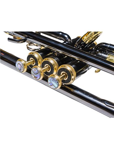 Trompeta Taylor Collins TCTR-97BN Niquel Negra en Sib