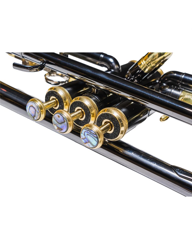 Trompeta Taylor Collins TCTR-97BN Niquel Negra en Sib