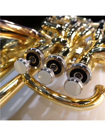 Bombardino Taylor Collins TCEP-194 Compensado Lacado 2