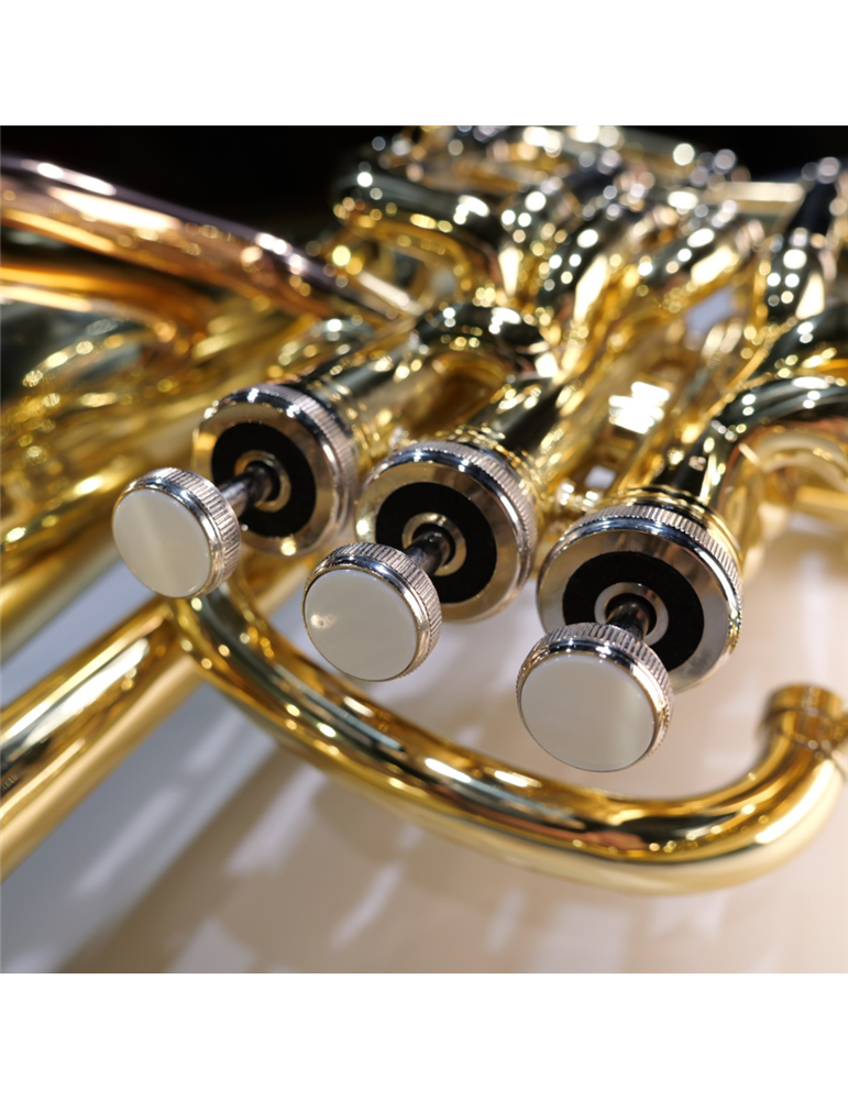 Bombardino Taylor Collins TCEP-194 Compensado Lacado