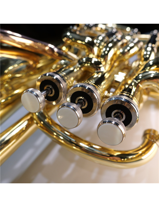 Bombardino Taylor Collins TCEP-194 Compensado Lacado