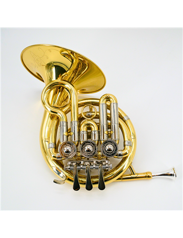 Trompa niños Taylor Collins TCFH-720 lacada en Sib