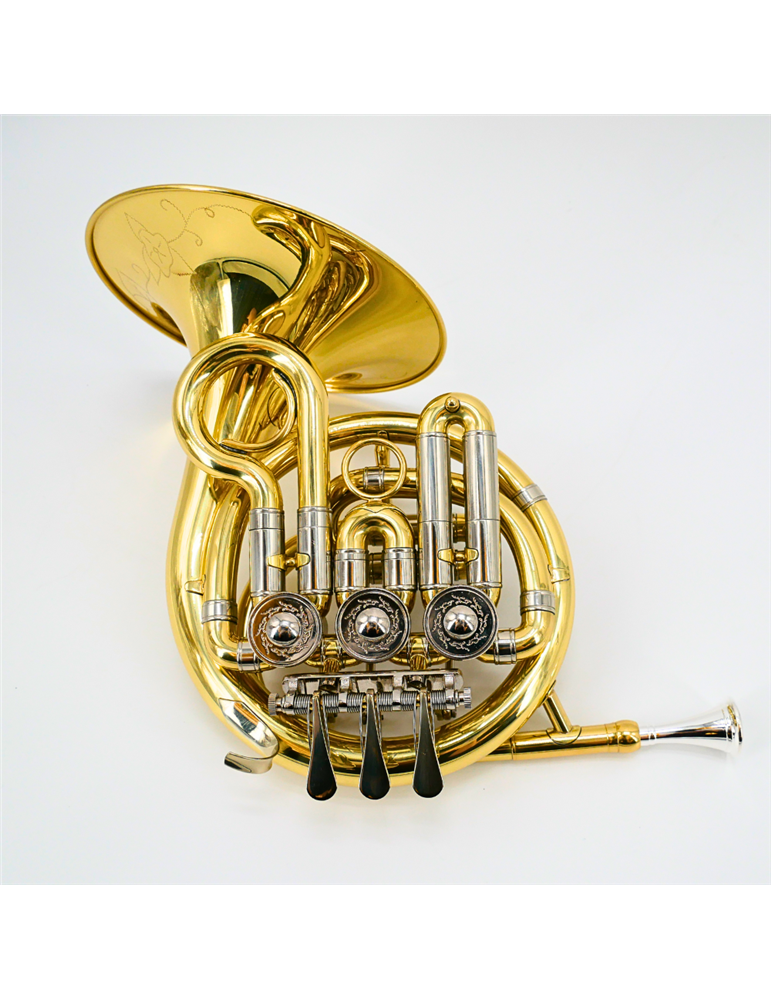 Trompa niños Taylor Collins TCFH-720 lacada en Sib