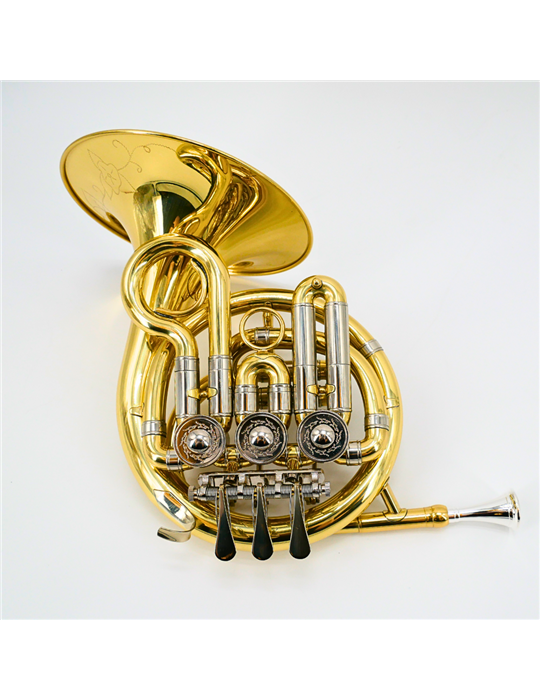 Trompa niños Taylor Collins TCFH-720 lacada en Sib