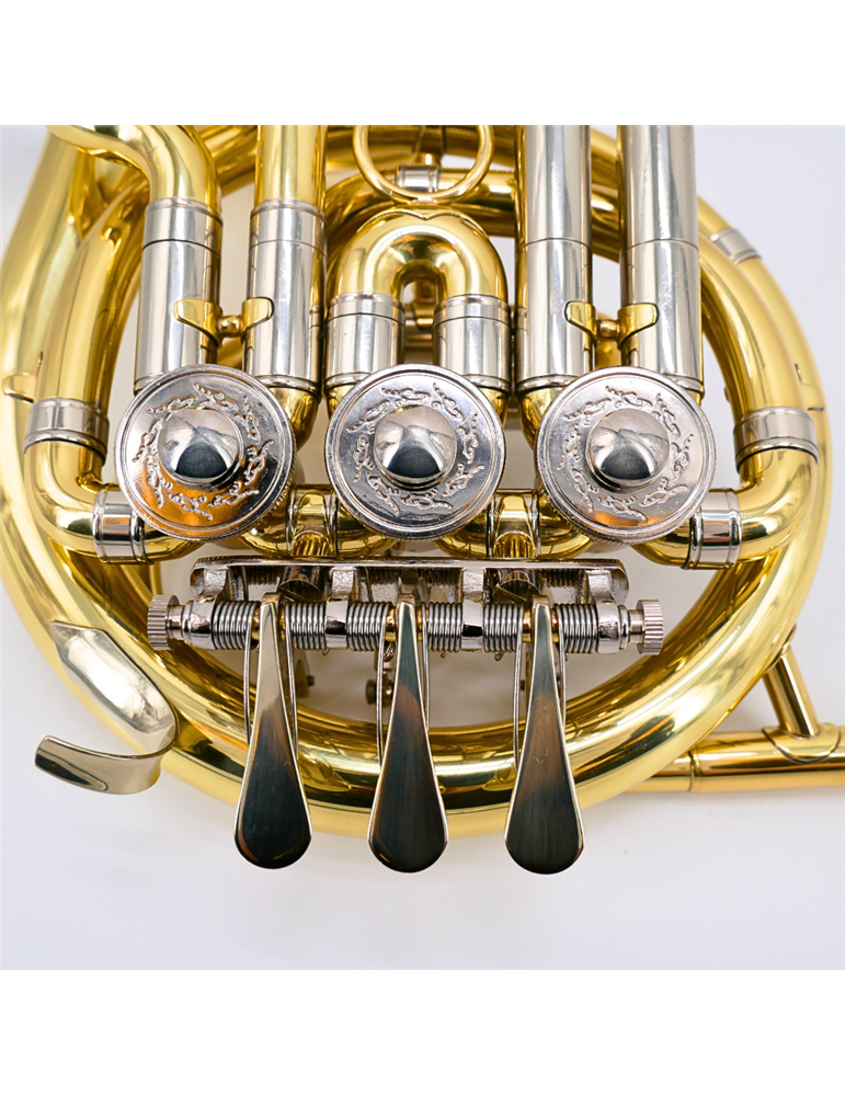 Trompa niños Taylor Collins TCFH-720 lacada en Sib