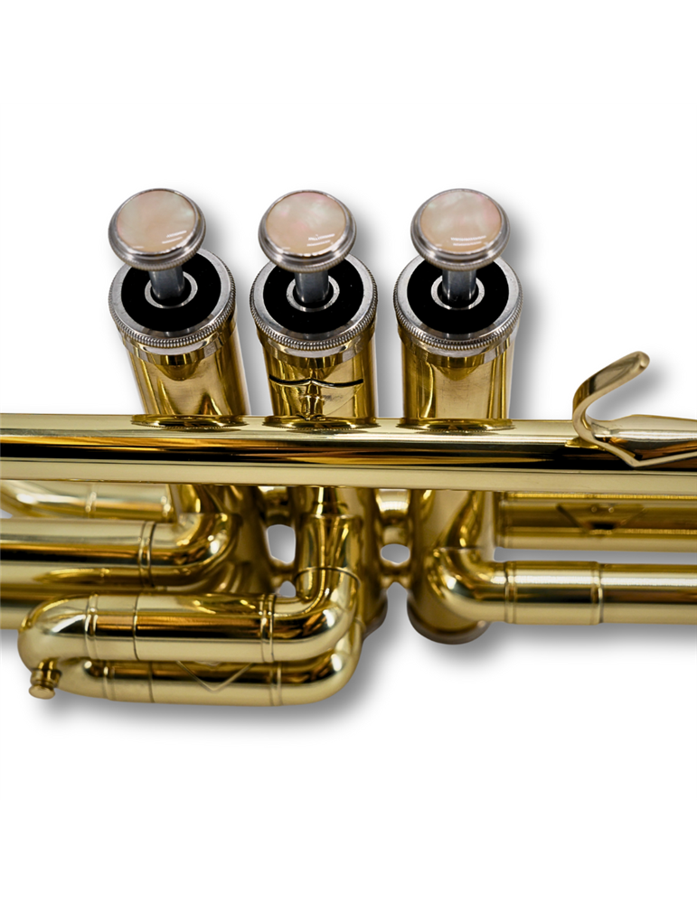 Trombón Taylor Collins pistones TCTM-9010 Lacado en Do