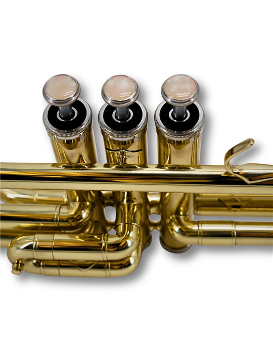 Trombón Taylor Collins pistones TCTM-9010 Lacado en Do