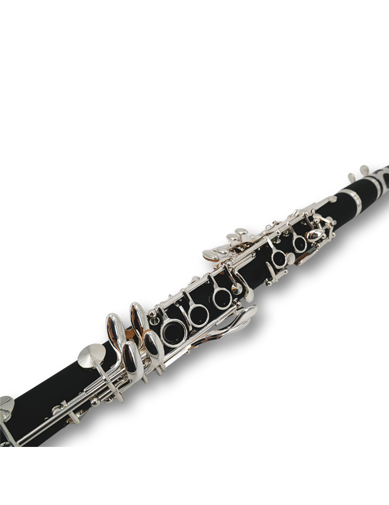 Requinto Taylor Collins TCCL-05 en Mib