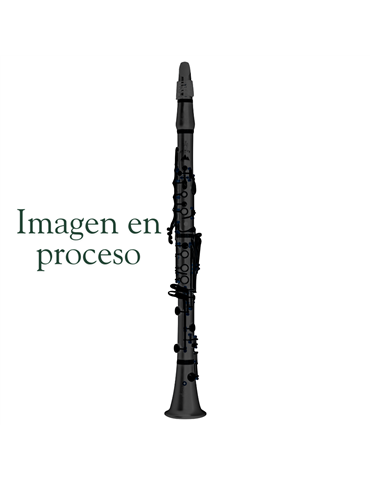 Clarinete La Uebel Zenit AC GGPP Grenadilla 426123 2