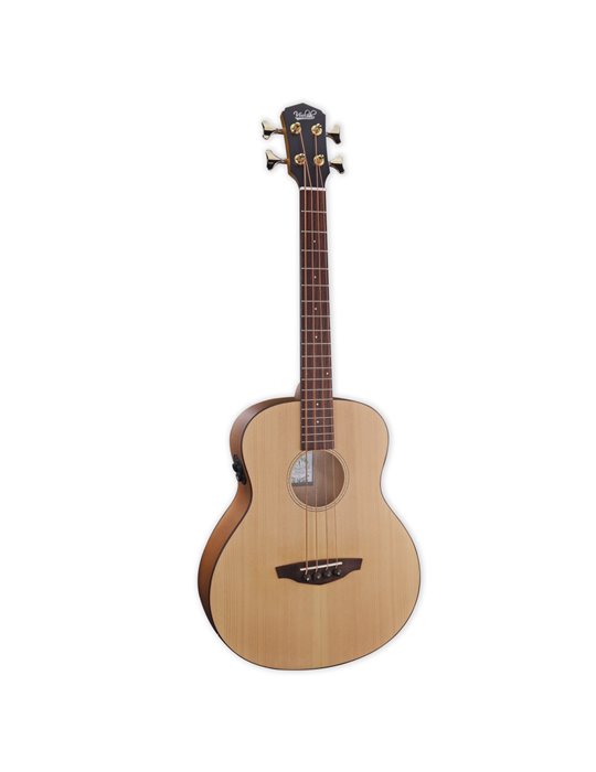 Mini-Bajo acústico Veelah MC.SFM Electroacústico