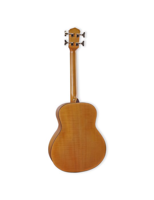 Mini-Bajo acústico Veelah MC.SFM Electroacústico