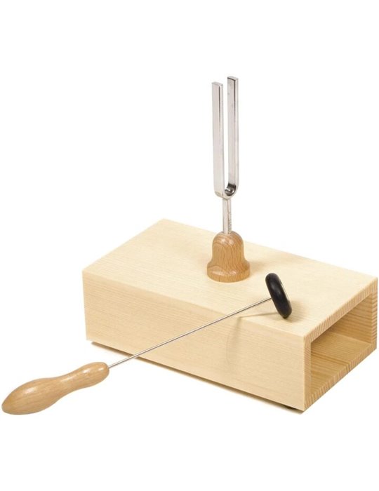 Caja Resonancia Con Maza Wittner 935440