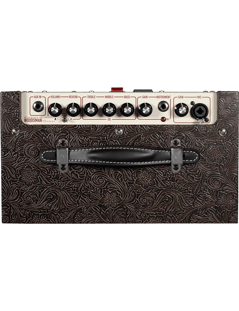 AMPLIFICADOR ASHDOWN WOODSMAN GUITARRA ACÚSTICA - 25w