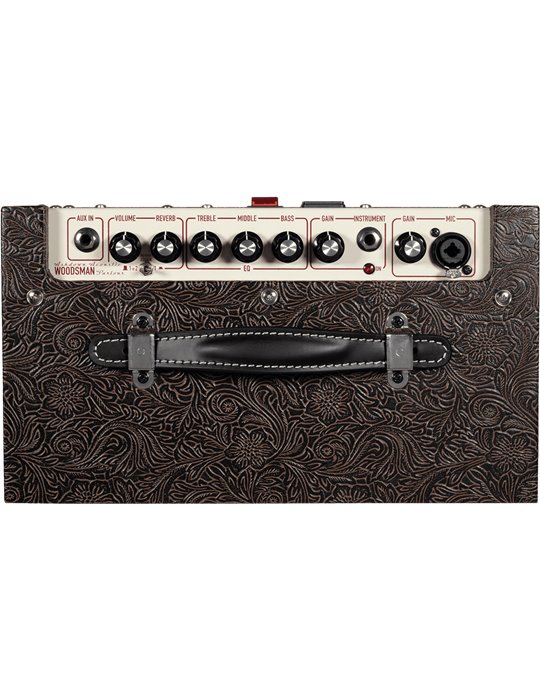 AMPLIFICADOR ASHDOWN WOODSMAN GUITARRA ACÚSTICA - 25w