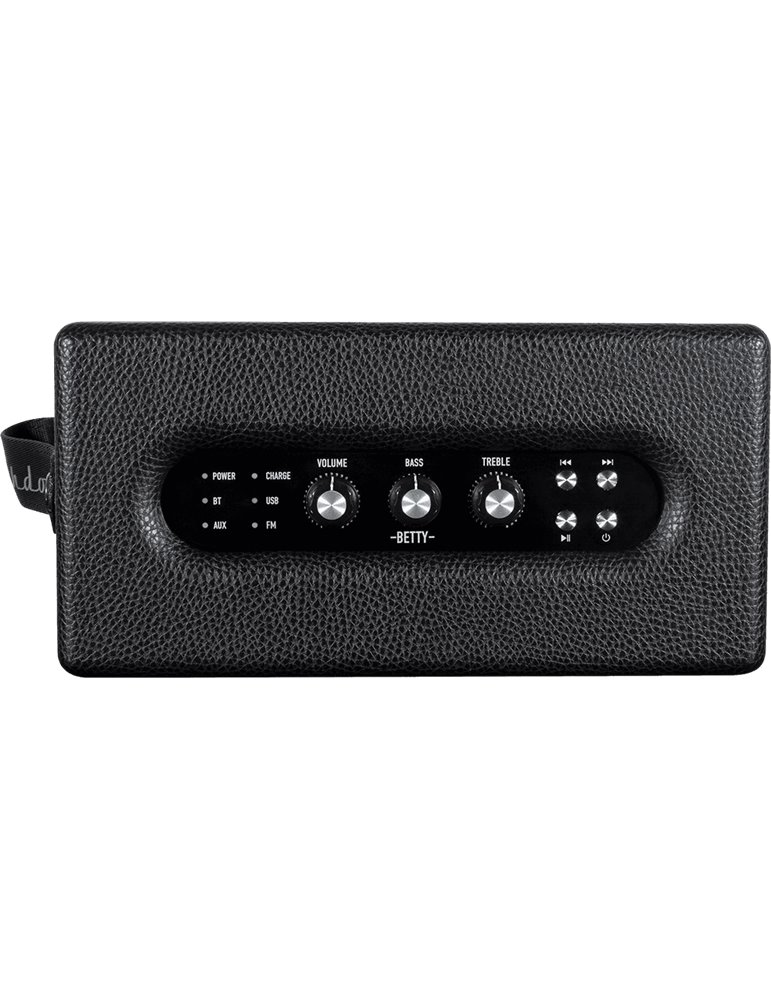 ALTAVOZ BLUETOOTH ASHDOWN 2 X 20W - NEGRO