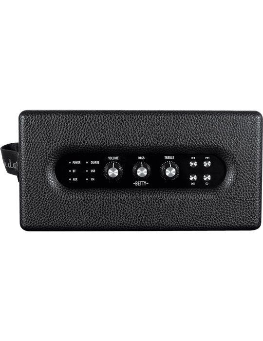 ALTAVOZ BLUETOOTH ASHDOWN 2 X 20W - NEGRO