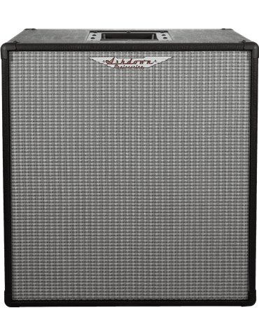 PANTALLA BAJO ASHDOWN RM EVO III 2 x 10" - 300w 8 Ohms