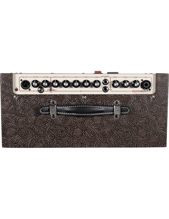 AMPLIFICADOR ASHDOWN WOODSMAN GUITARRA ACÚSTICA - 40w