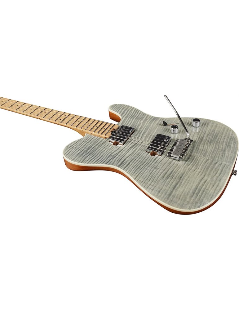 GUITARRA ELÉCTRICA EKO TERO 801 MUSA - GREY FLAMED