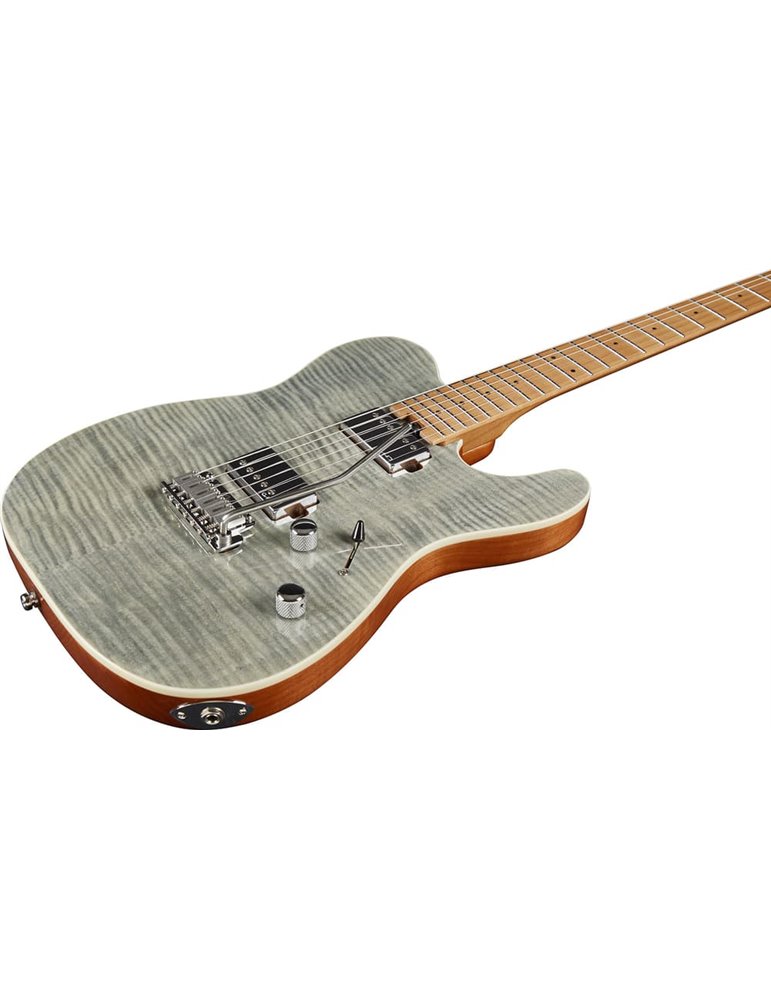 GUITARRA ELÉCTRICA EKO TERO 801 MUSA - GREY FLAMED