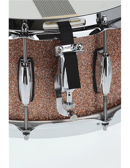 Caja Renown Maple Champagne Sparkle