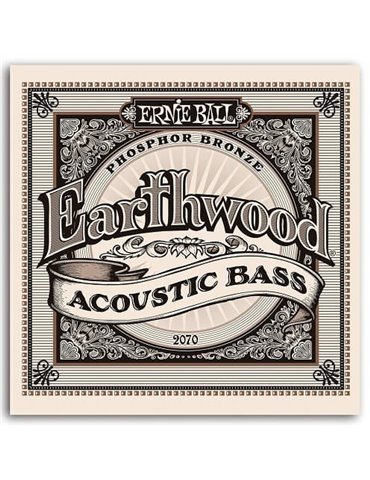 JUEGO BAJO ACÚSTICO EARTHWOOD 80/20 BRONZE 45-95 2