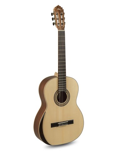 Serie ECOLOGÍA E-65 Tamaño 4/4 4/4 size