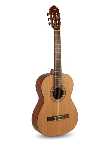 Serie TRADICÍON T-62 Tamaño 7/8 7/8 size