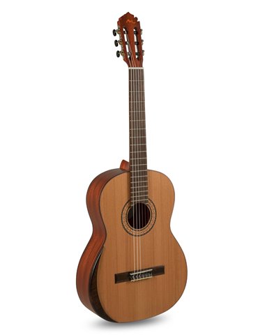 Serie TRADICÍON T-65 Tamaño 4/4 4/4 size