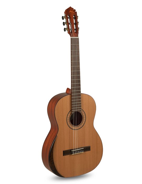 Serie TRADICÍON T-65 Tamaño 4/4 4/4 size