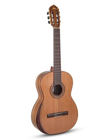 Serie ACADEMIA AC40 tamaño 4/4 Tamaño 4/4