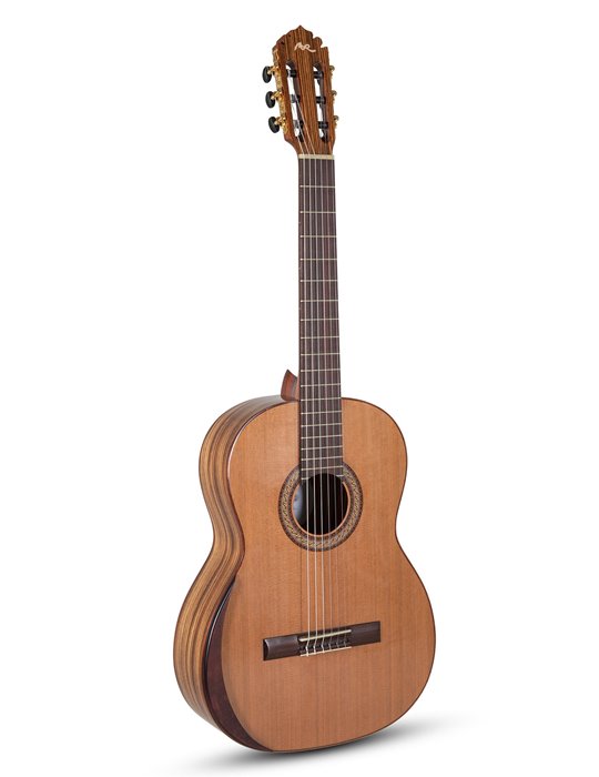 Serie ACADEMIA AC40 tamaño 4/4 Tamaño 4/4