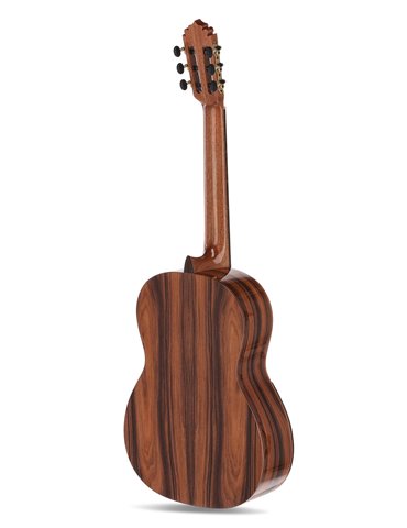 Serie ACADEMIA Santos Pavo Real Cedro/Santos