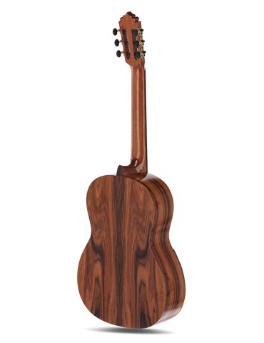 Serie ACADEMIA Santos Pavo Real Abeto/Santos