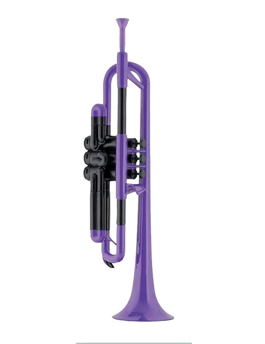 Trompeta Violeta