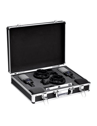 Set de Micrófonos C214 estéreo