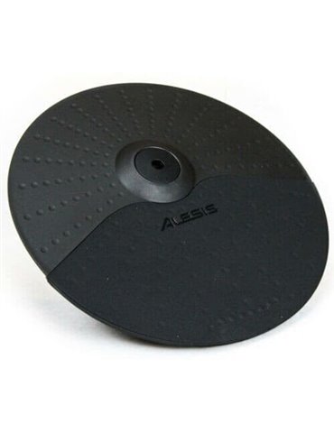 PLATO DE 12" DOBLE ZONA