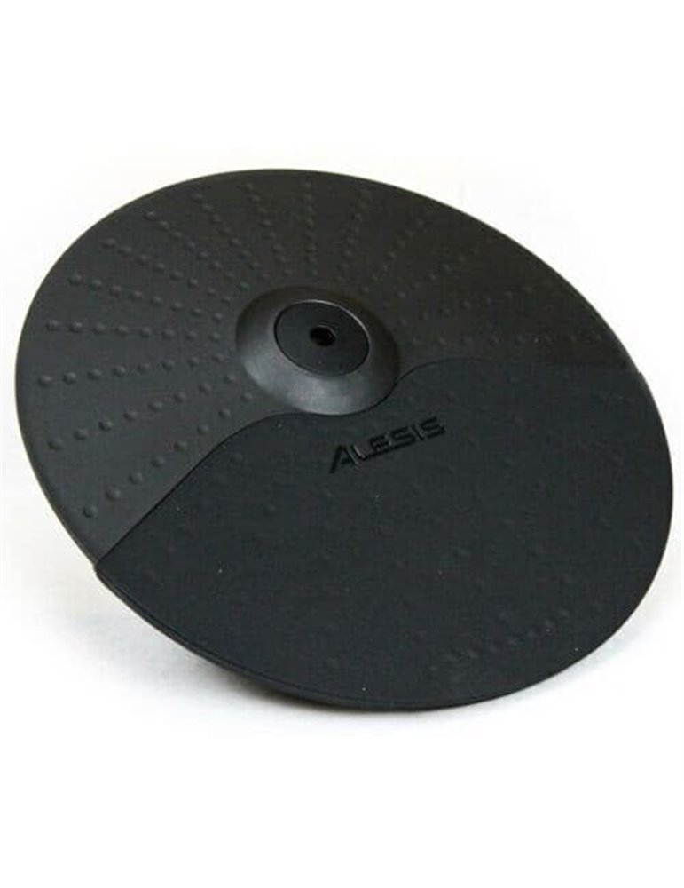 PLATO DE 12" DOBLE ZONA