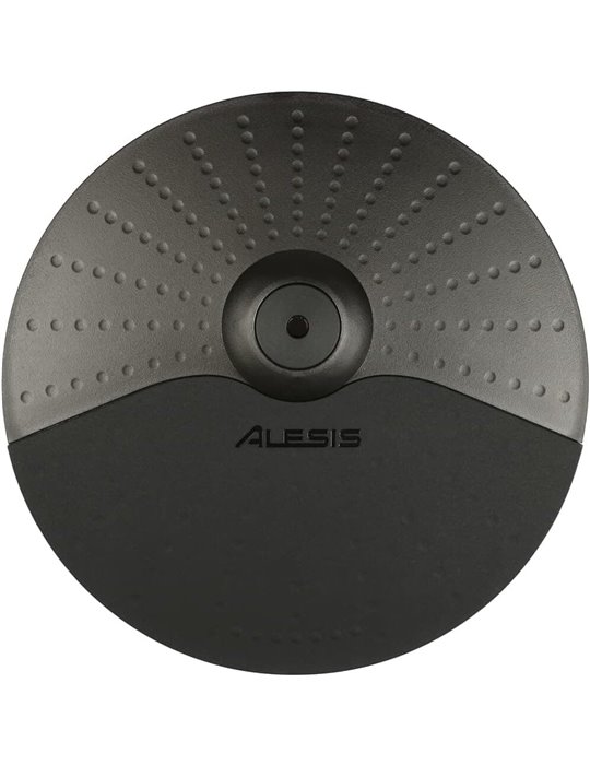 PAD PLATO 10? "SINGLE ZONE" PARA NITRO MAX KIT