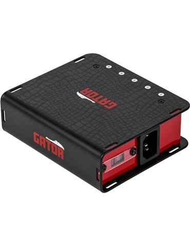 Fuente de alimentación para pedalboard con 5 salidas aisladas 2