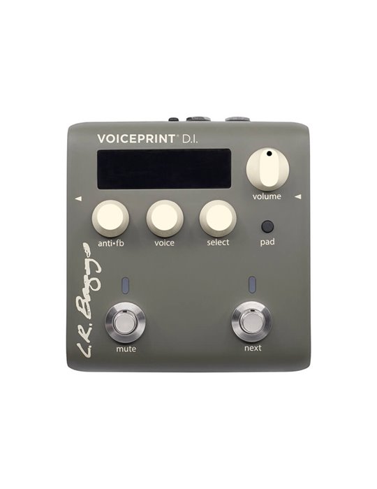 VOICEPRINT DI